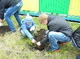 48-Акция Посади дерево!