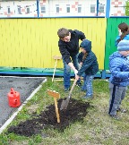 49-Акция Посади дерево!