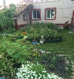 7-Муха-цокотуха