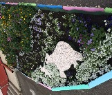 17-Путешествие Умки